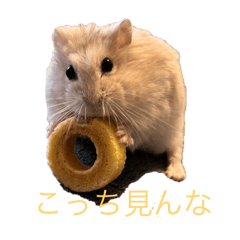 Ryuki_20220614215407