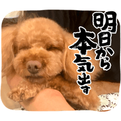 kuu_20220615001343