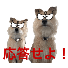 Seira_20220615005346