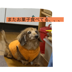 tori_20220615114552