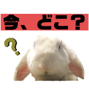 SATO_20220615111759
