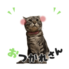 KONATSU_20220615135641
