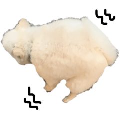 Yun_20220615140043