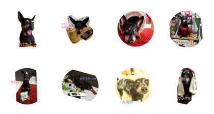 Kirara's daily life