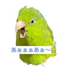 Sayuri_20220615003556