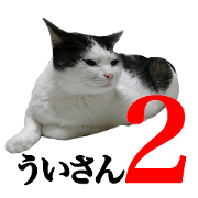 UI san2