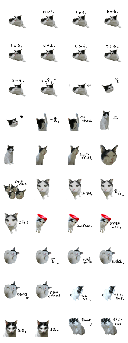 UI san2