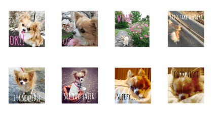 chihuahuanko ~kina ~