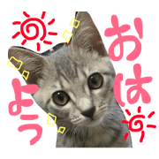 meronstamp