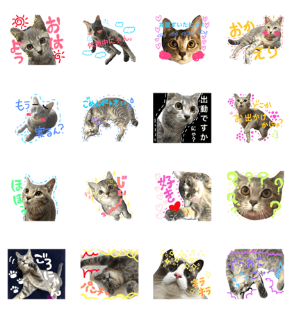 meronstamp
