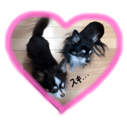 shokora.moko.kuu.riku