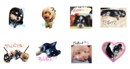shokora.moko.kuu.riku