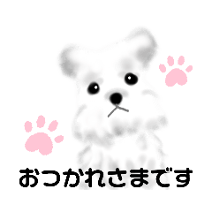 Neconosuke_White Animals