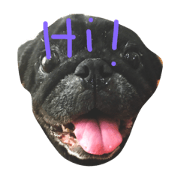 Nusuktheblackpug3