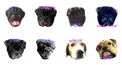 Nusuktheblackpug3