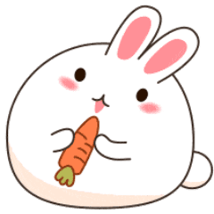 Lovely rabbit's life
