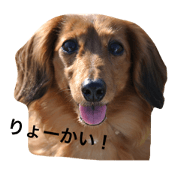dognanachan