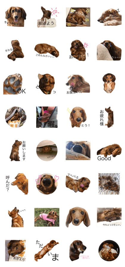dognanachan