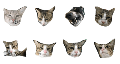 meowandfrnds