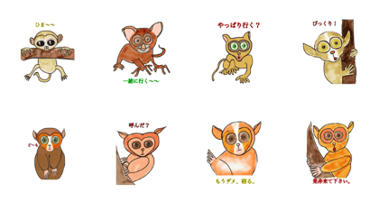 tarsier the little monkey 3