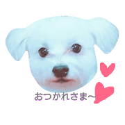 towapon