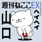 Move "Yamaguchi" name sticker feature
