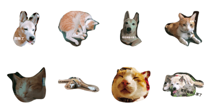 lazy dog lazy cat lazy kid