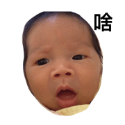 egg life zero