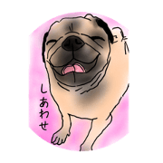 '' Pug LiFe "