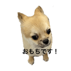 おもち君スタンプno.1