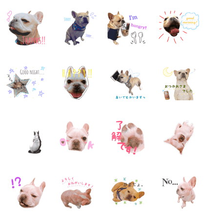 French Bulldog ~kinako~
