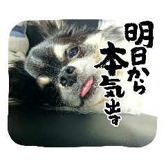 SHIHO_20220614194729