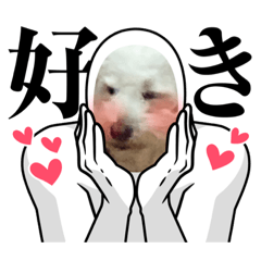 suzu_20220614203508