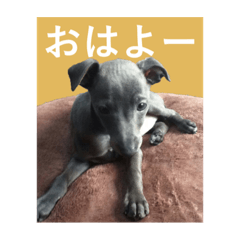 hana_20220615072341