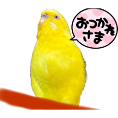 ayu stamp_20220615080006