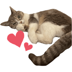 shiho_20220614212835