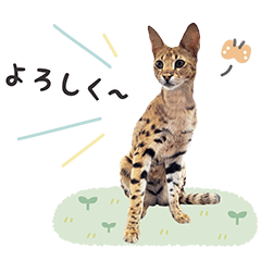 かわいい猫さんスタンプ