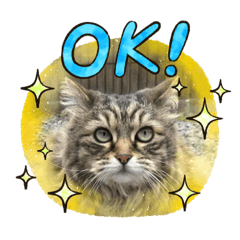 akaori