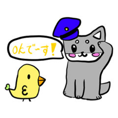 akari_20220615192839