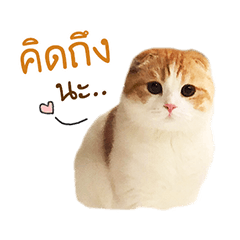 Puffy Family - Stiker LINE | LINE STORE