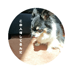 SHIHO_20220615175516