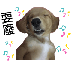 雷歐 常用語2台灣