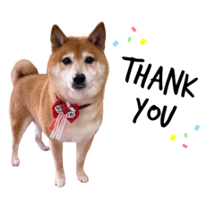 yuka_20220615190254