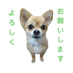 hana's stamp part5