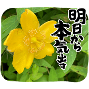 shu shu_20220615191916