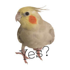 Emily_20220615232550