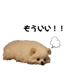 Yun_20220615232546
