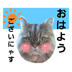 tetomei_20220615232854