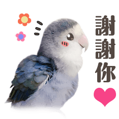 Violet Parrot - Small Flower