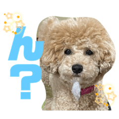 mizuki_20220616005158